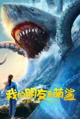 我的朋友是萌鲨