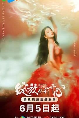 绽放的许开心