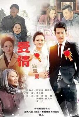 爱情变变变