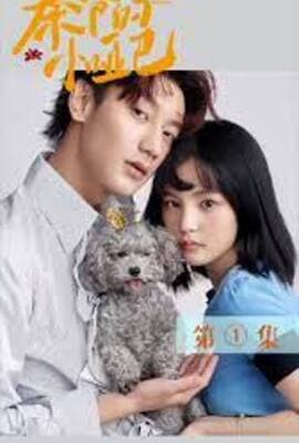 秦爷的小哑妻