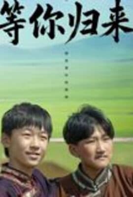 等你归来